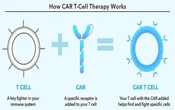 【专业科普】​CAR-T细胞疗法：难治且复发的淋巴瘤患者治愈的希望！