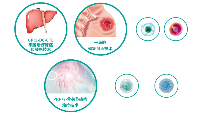 细胞治疗技术研发